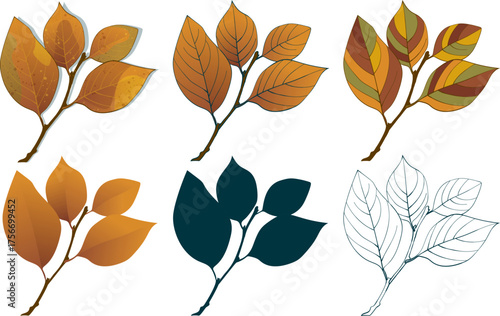 Set of hand-drawn fall brown-yellow colored elm autumn leaves isolated on white background. Flat and line styles vector illustration.