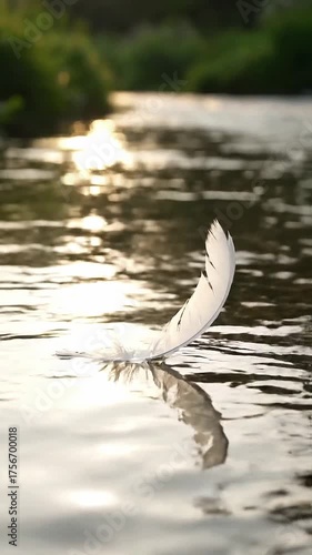 Floating on a gentle current, a single white feather makes its slow way downstream.