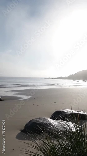 Foggy morning light reveals the soft, muted colors of a coastal landscape.