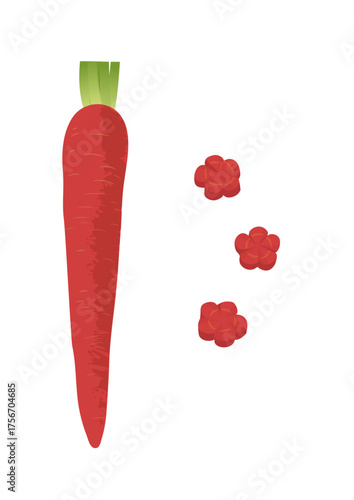 ねじり梅 金時人参 飾り切り イラスト ベクター