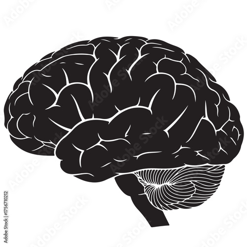 Stylized Human Brain Side View Illustration