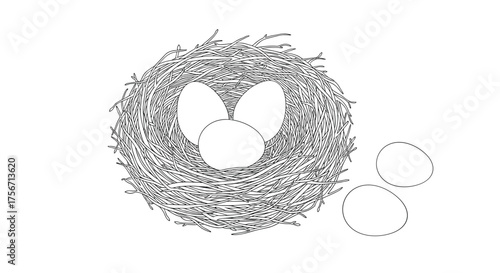 Three eggs are in a nest with three more outside the nest.