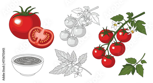 Fresh ripe tomatoes and basil leaves shown in a collage.