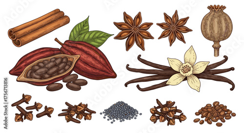 A collection of aromatic spices and baking ingredients for culinary use.
