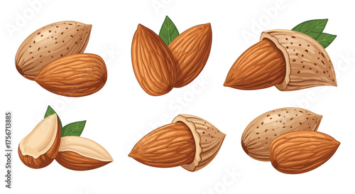 A collection of freshly shelled and unshelled almonds.