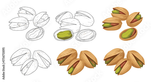 Set of pistachios in different artistic representations.