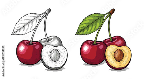 A pair of cherries and a halved cherry with leaves.