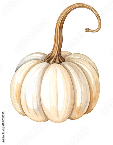 White Pumpkin with Curved Stem – Watercolor Clipart