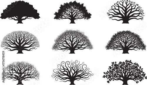 Tree silhouette vector set, bare tree, dense canopy, branching pattern, black and white illustration, nature clipart, botanical art, forest elements