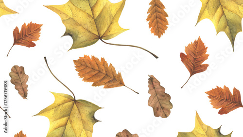 Autumn leaves of different shapes and colors creating a beautiful pattern. The leaves vary in shades of yellow and brown, showcasing the beauty of the season