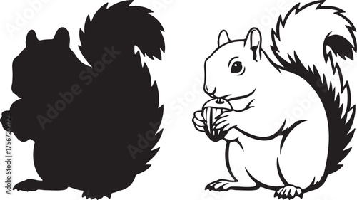 Eastern Gray Squirrel Holding Nut Silhouette Vectors