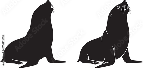 Sea Lion Upright Silhouette Vector Set