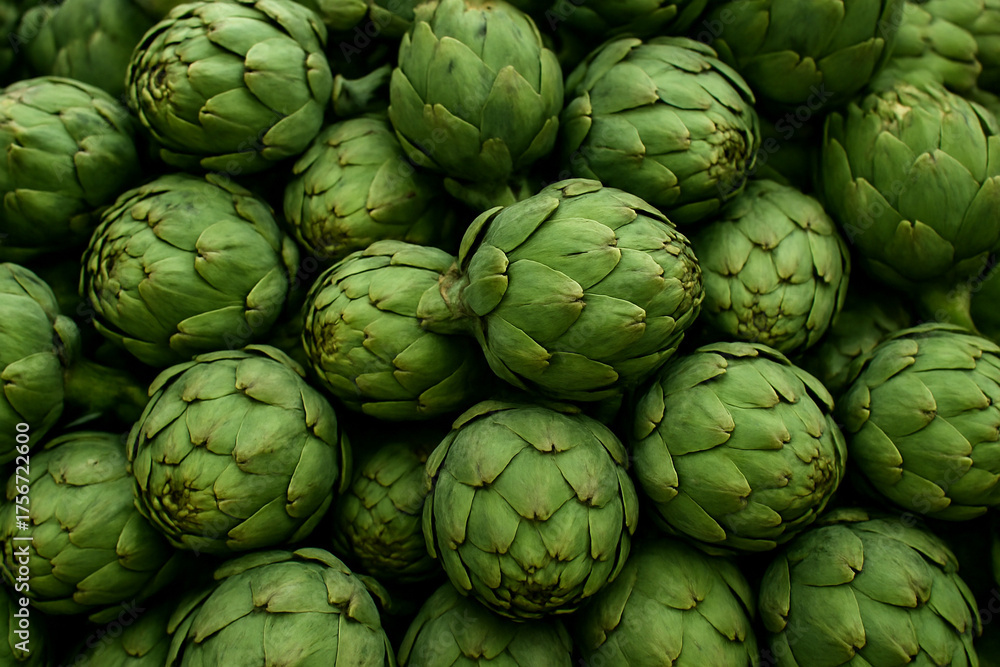 Fototapeta premium アーティチョーク