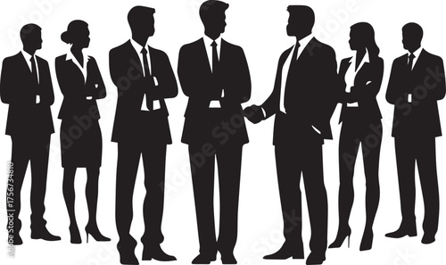 Professional business team in formal suits standing together silhouette