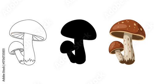 Three different depictions of mushrooms including outline silhouette and colored illustration.