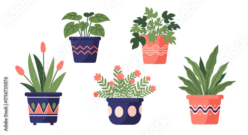 A collection of decorative potted plants arranged in a visually appealing composition.