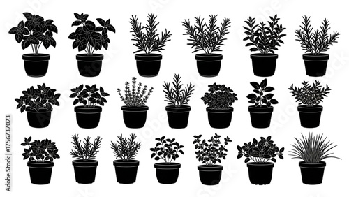 Herb Garden Silhouette Icon Set – Vector Illustrations of Small Potted Herbs Like Basil, Mint, and Rosemary Representing Kitchen Gardening and Small-Scale Plant Cultivation