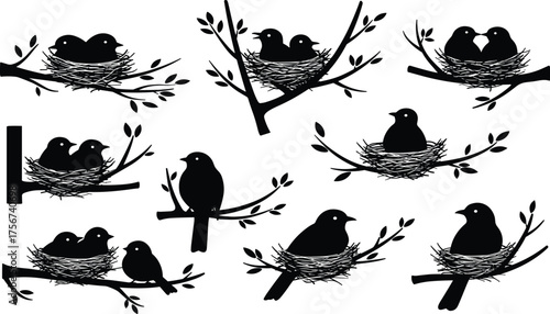 Bird silhouette set perched on tree branches with nests, showing nature, companionship, solitude, wildlife behavior and minimalistic black design