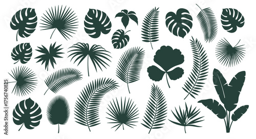 A collection of various tropical leaf silhouettes in different shapes and sizes