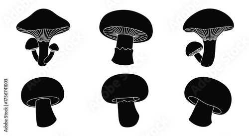 A collection of various mushroom silhouettes in black and white.