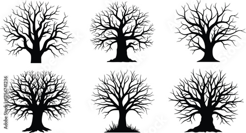 Leafless tree silhouette vector set, black nature icons, winter forest clipart bundle, artistic branching shapes for seasonal, abstract, and design use