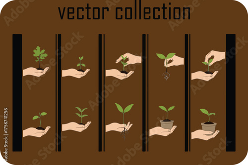 Vector collection illustrating plant growth stages from seedling to sapling with hands