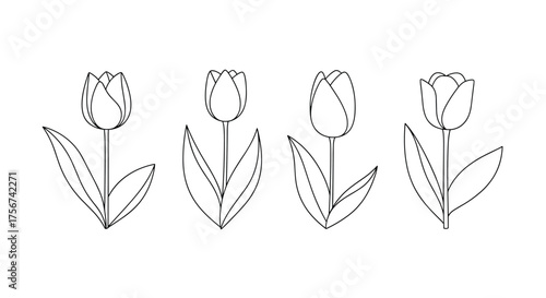 Simple line drawing of four budding tulips with dotted outlines.
