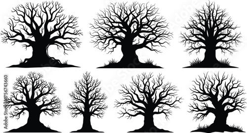 Leafless tree silhouette vector set with detailed branching patterns and grass base, natural forest illustration, decorative seasonal elements, artistic botanical graphic collection