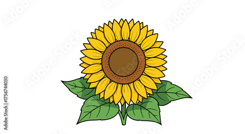 A bright yellow sunflower stands tall with green leaves.