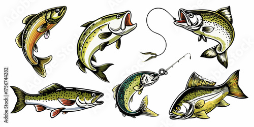 Collection of six illustrated freshwater fish species with fishing hooks and lines on a white background