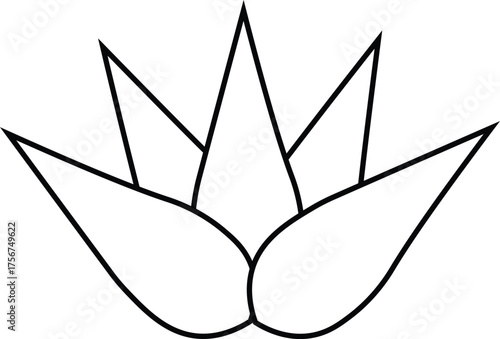 Water lily flower line art vector illustration