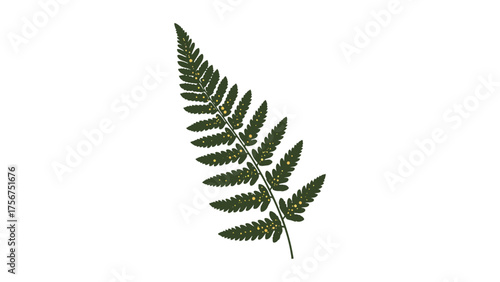 Minimal vector of a single fern leaf unfolding with tiny golden dots along its curve, symbolizing nature’s quiet rebirth, on a clean white background.