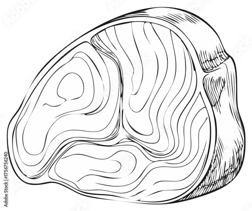 Hand drawn raw beef steak illustration black and white sketch of a fresh meat cut