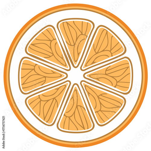 Isolated orange fruit slice illustration with textured orange segments and pith separated by white spaces on white background