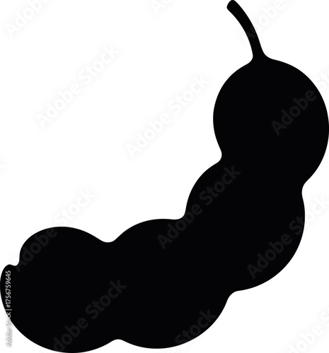 Tamarind pod silhouette vector illustration