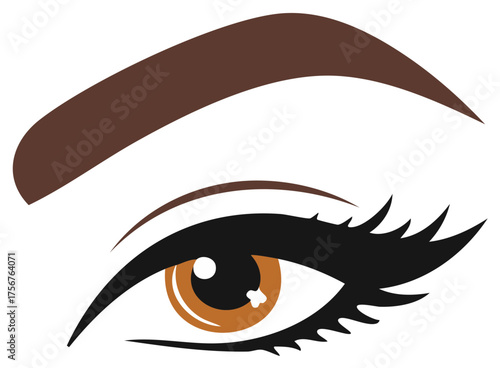 Modern graphic illustration of a beautiful human eye with defined eyelashes and a bold brown eyebrow