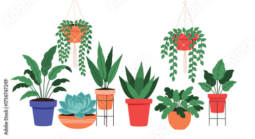 A collection of various potted houseplants arranged together indoors.