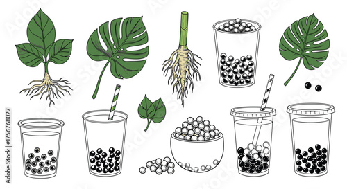 Illustrations of bubble tea ingredients and tropical plant leaves.