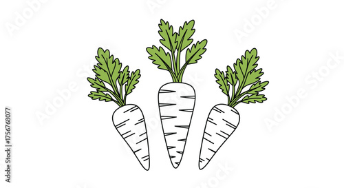 Three white carrots with green leafy tops are depicted in a simple illustration.