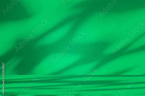 Wall interior background, studio and backdrops show products. with leaf shadow leaf from window color green and white. background for text insertion and presentation of product	