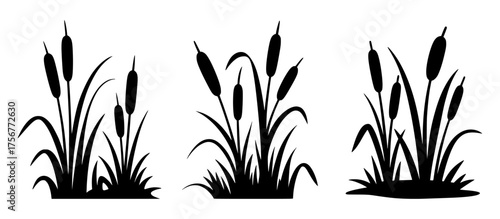 Black Silhouette of Cattails and Reeds on White Background