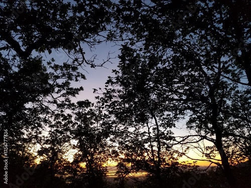 Forest Sunset with Tree Silhouettes on Mueller Park Trail in Bountiful, Utah