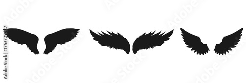 Three pairs of black silhouette wings isolated on transparent background isolated on white background