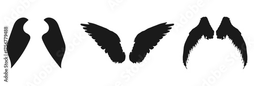 A collection of three pairs of black silhouette wings, presented as isolated objects on a clean white background. The leftmost pair are simple, elongated shapes. The middle pair are more detailed.