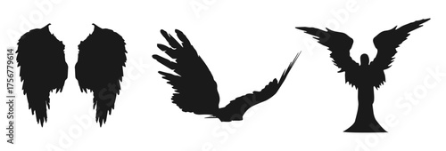 Collection of angel wings and bird wings silhouettes isolated on transparent background isolated on white background