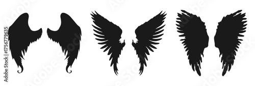 Three pairs of silhouette wings and angel wings isolated on transparent background isolated on white background