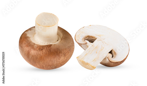 Wallpaper Mural Fresh champignon mushrooms isolated on transparent png ( image from camera ) Torontodigital.ca