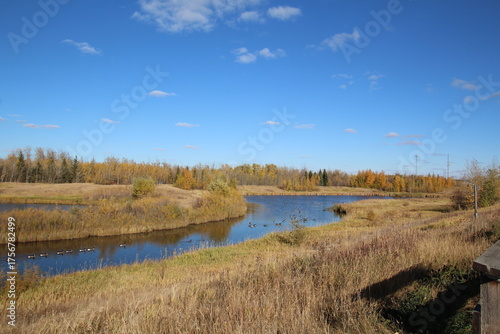 autumn landscape with lake