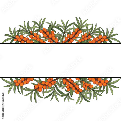 A decorative frame with sea buckthorn berries and leaves.