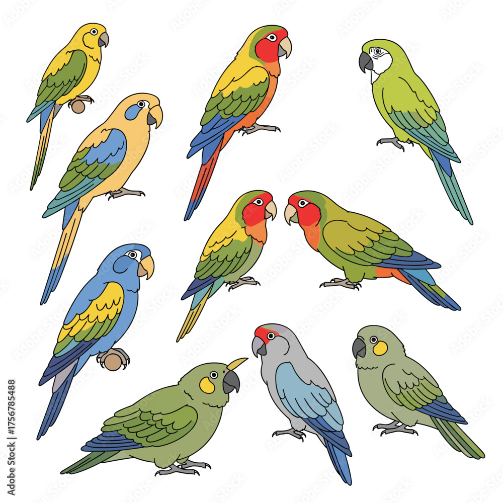 Obraz premium A collection of colorful parrots drawn in a simple illustrative style.